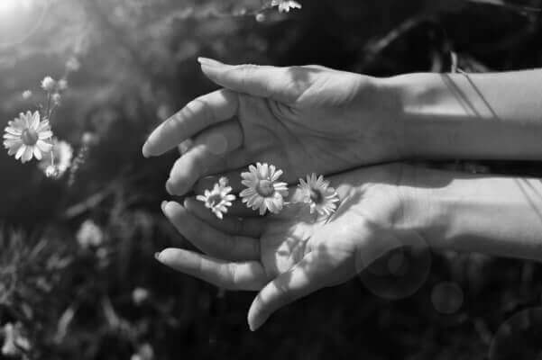 Firmware-for-a-Custom-Skin-Cancer-Screening-Device-1x-tiny