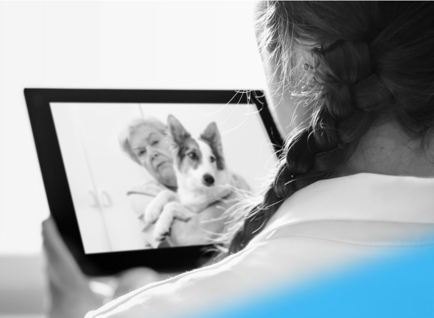 Pet-Care-in-the-Age-of-Telehealth