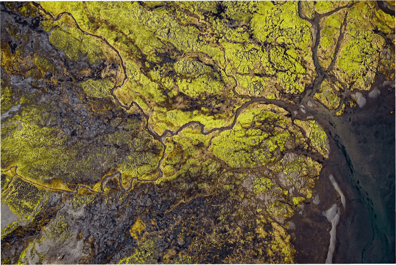 Cloud-Based Digital Platform for Sustainability