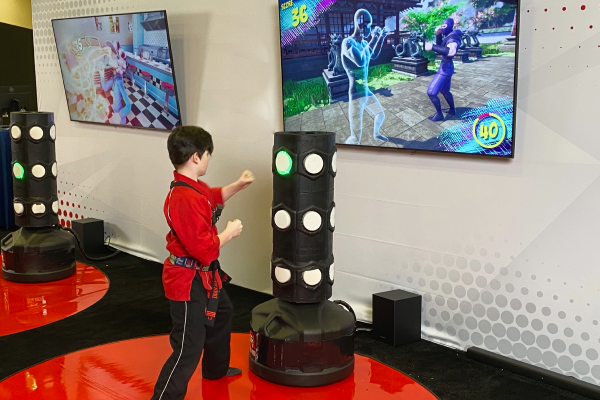 Gamified Smart Punching Bag Prototype
