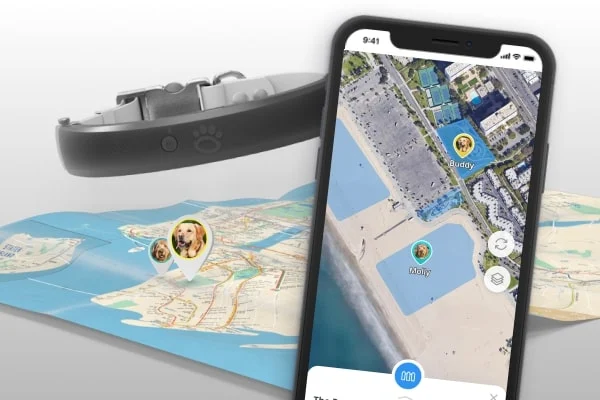 Designing UX/UI for a Smart Collar App